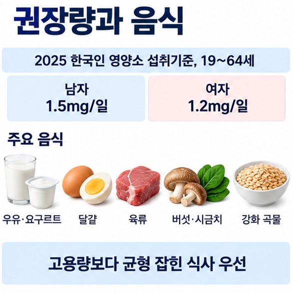 성인 비타민 B2 권장섭취량과 우유 달걀 육류 버섯 시금치 등 주요 급원 식품을 정리한 인포그래픽
