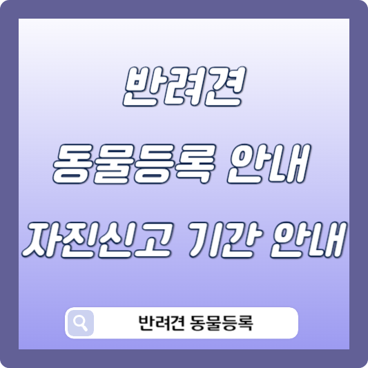 반려견 동물등록 자진신고 기간 안내