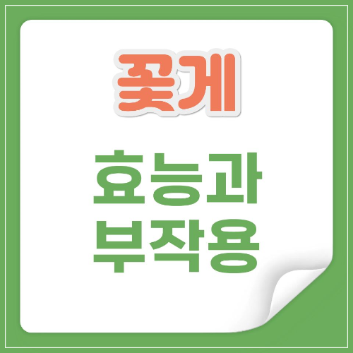 꽃게 효능 효과 부작용
