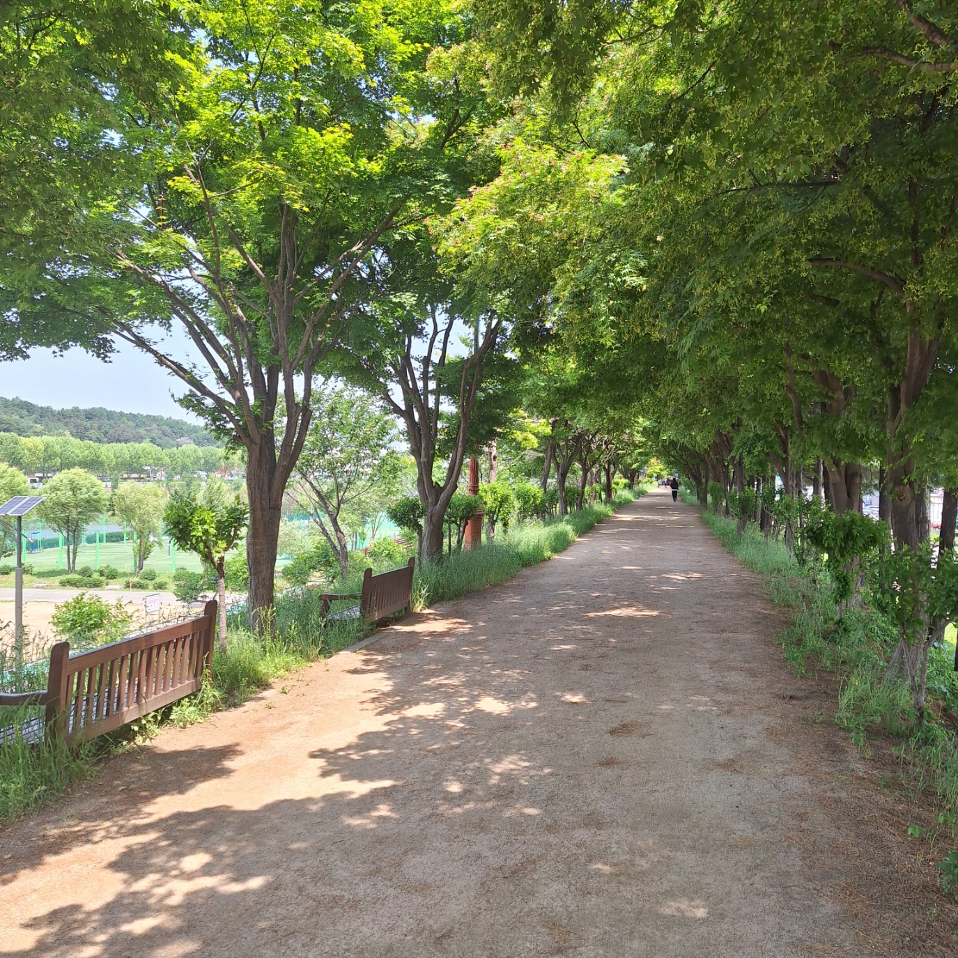 서울 둘레길 14코스 참여 후기