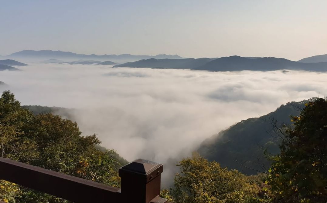 박진고개