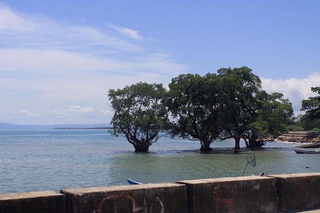 쿠팡와우회원해지하는법 완벽 가이드! PC&middot;모바일 모두 가능