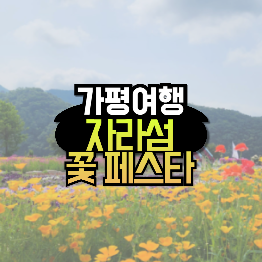 가평 자라섬 꽃축제 일정 할인혜택 챙기기