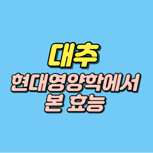대추 효능 부작용