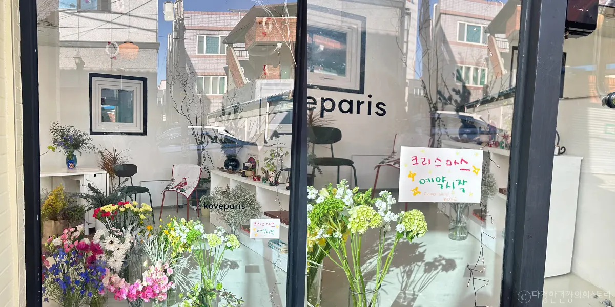대구-중구-삼덕동-신상-꽃집-추천-코브-파리