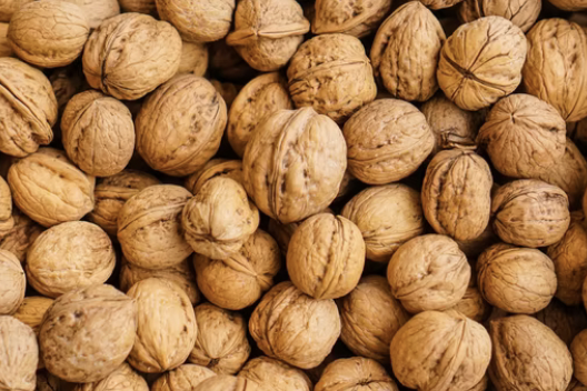 까지-않은-호두