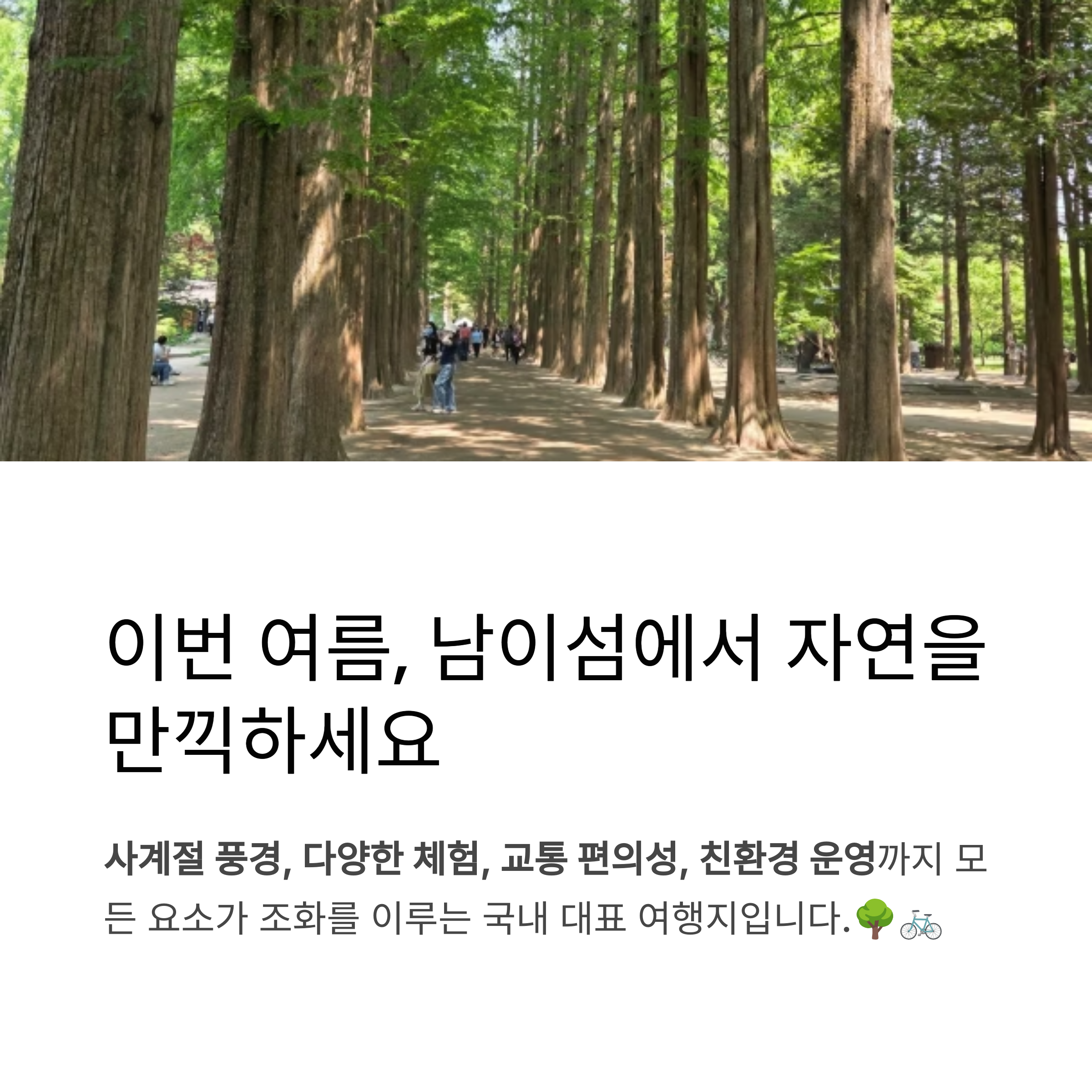 이번 여름, 남이섬에서 자연을 만끽하세요