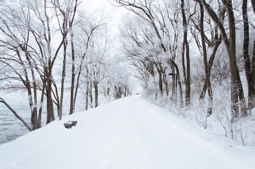 Snow