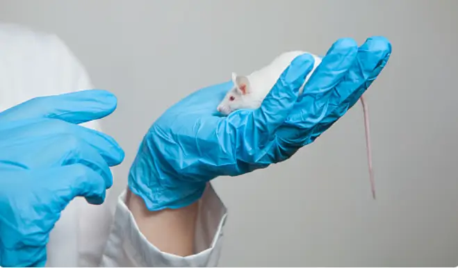 동물실험 반대 근거자료