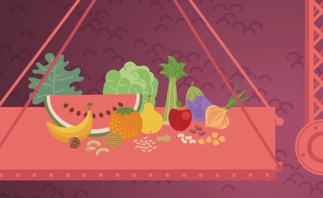 마이크로 바이옴이란