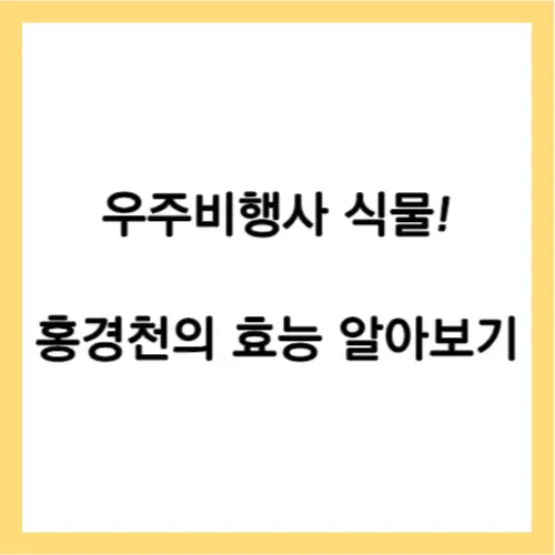 홍경천 효능