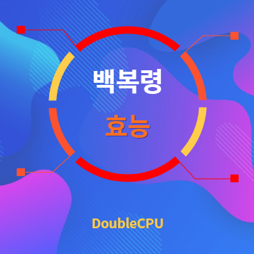 백복령 효능 탐구