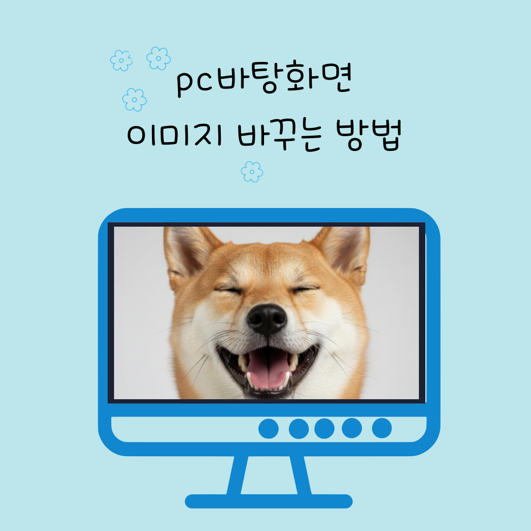 강아지사진