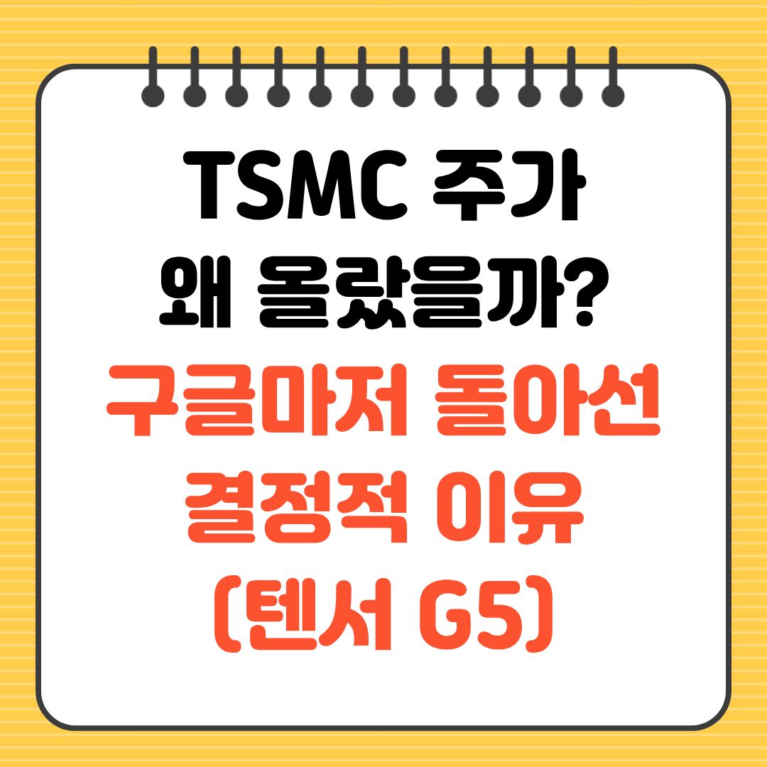 TMSC 주가 왜 올랐을까 구글마저 돌아선 결정적 이유 텐서 G5