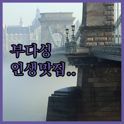 부다페스트 부다 성 터널 근처 현지인..