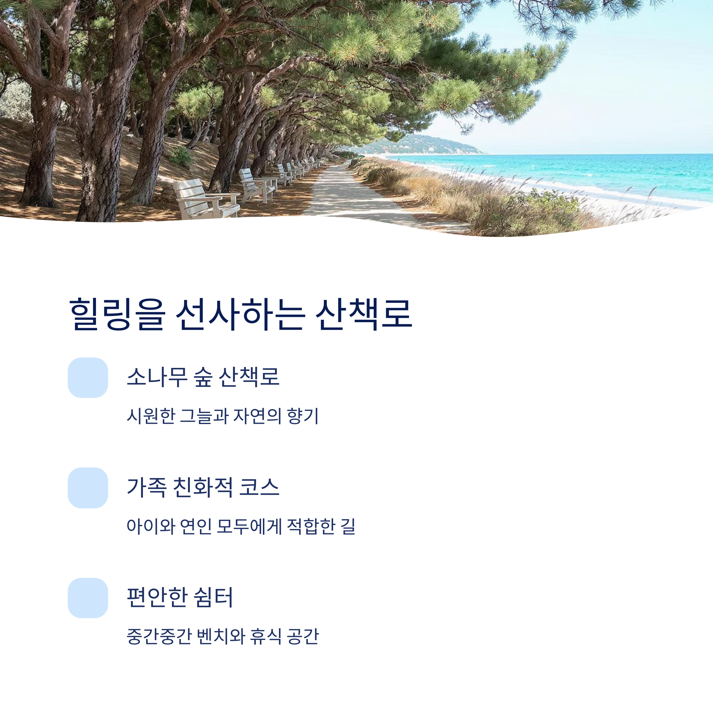 힐링을 선사하는 산책로