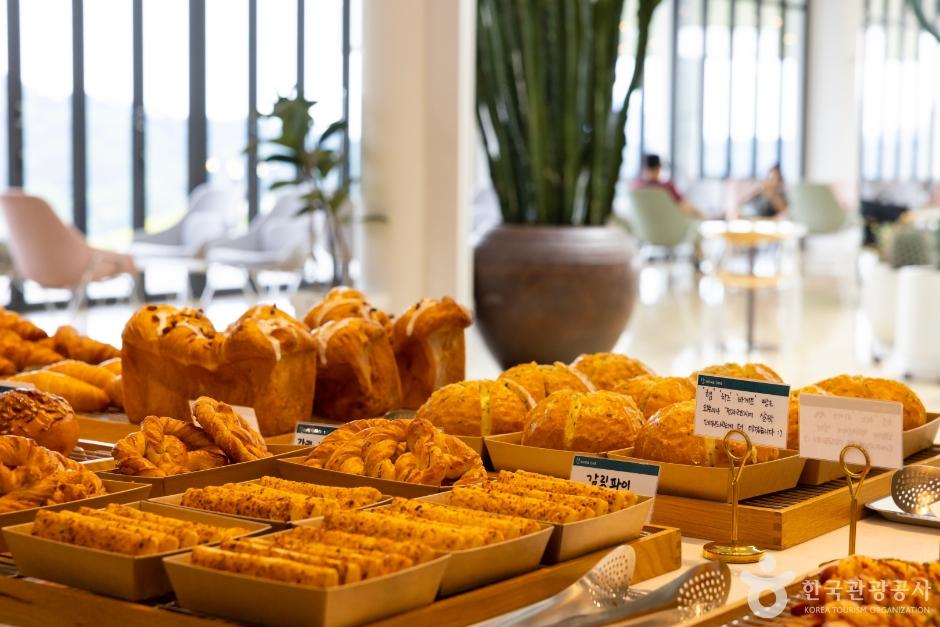 정읍 가볼만한곳