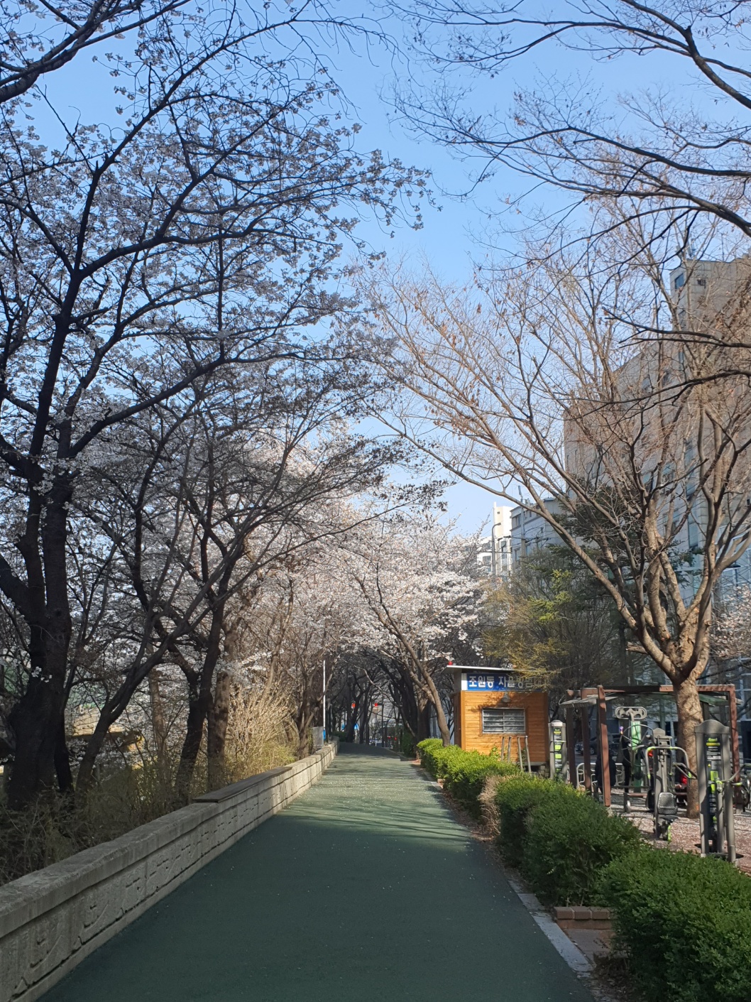 구로디지털단지 근처 둑방길