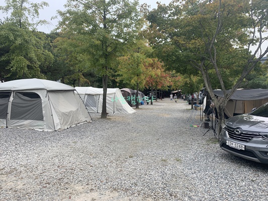 사이트-용인 단풍숲 캠핑장