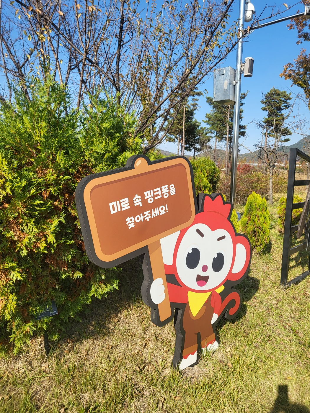 세종 아이와 가볼 만 한 곳 (세종수목원)