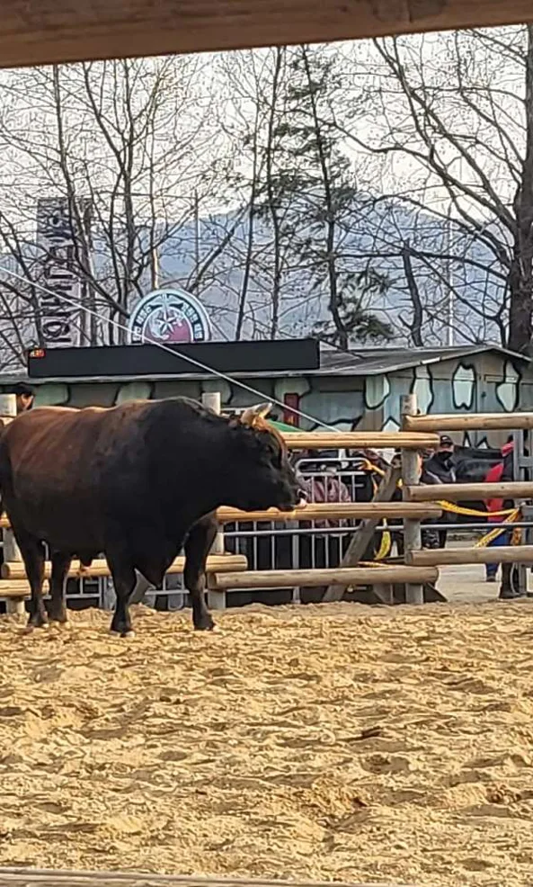 마금산온천단지