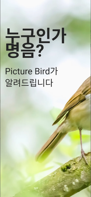 새 이름 찾기 어플, 새 소리로 새 식별, 새의 이름 종류에 대한 정보