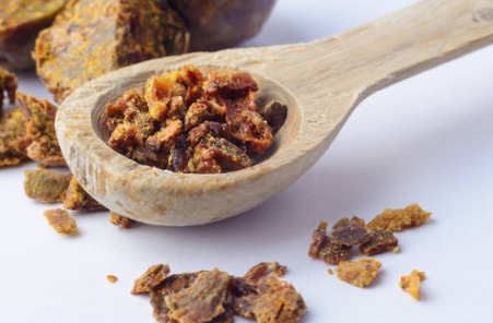 프로폴리스 효능, 부작용 총정리 (2024ver)