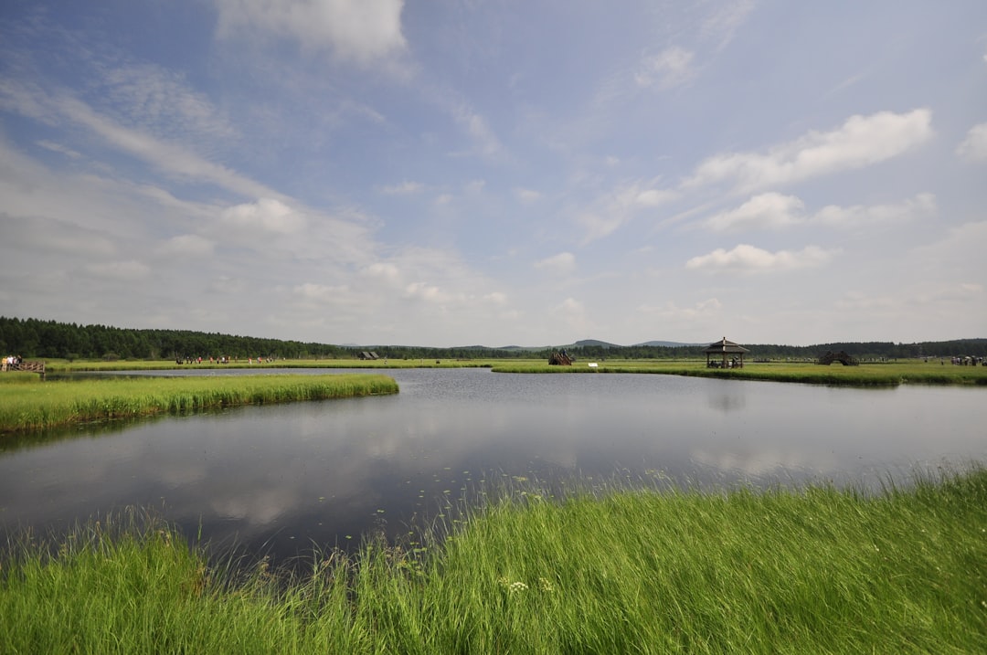Wetland.