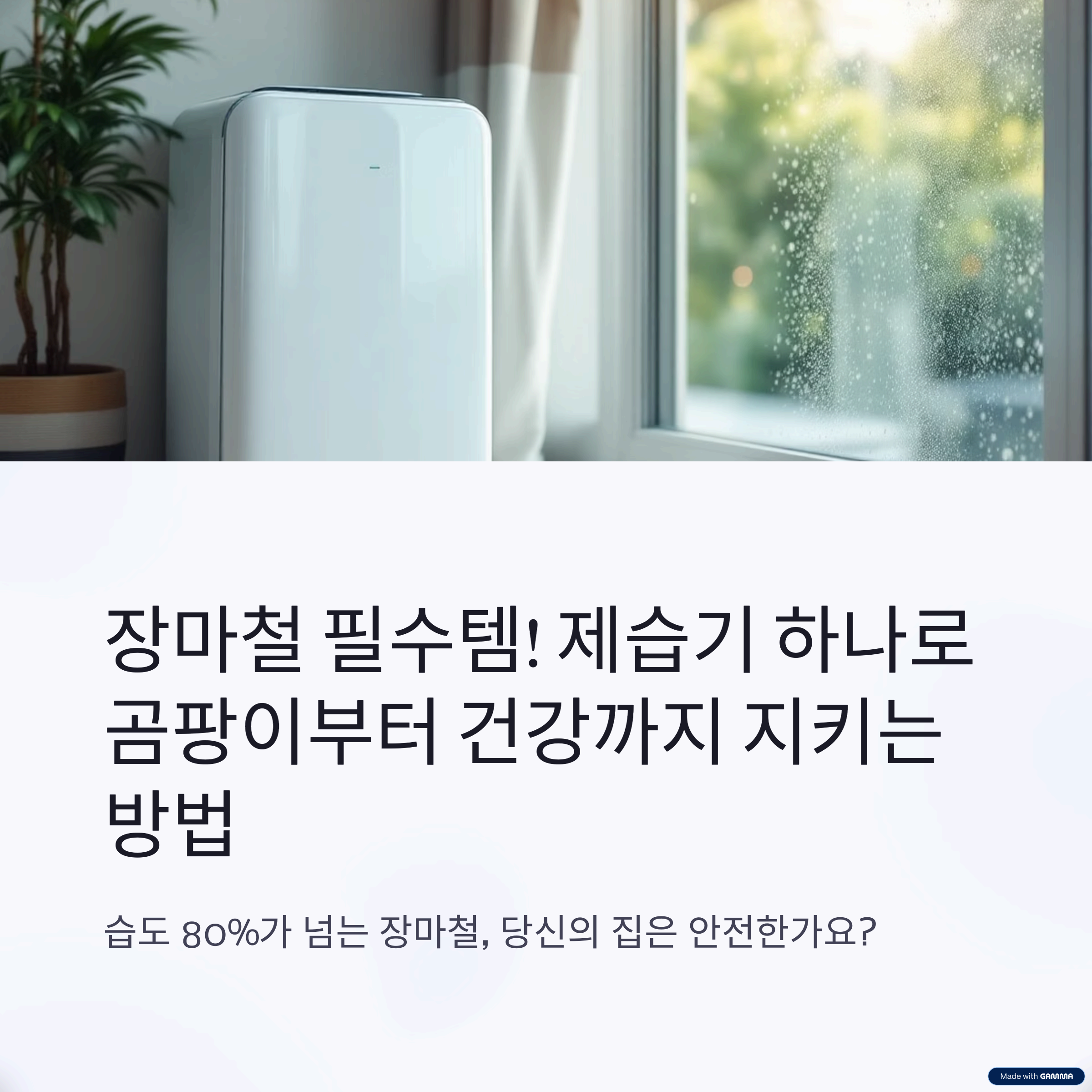 &ldquo;장마철 제습기 필수템! 곰팡이, 건강, 냄새까지 해결하는 이유&rdquo;