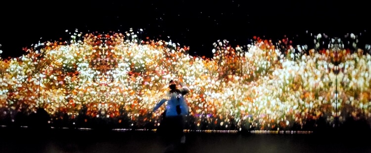 아르떼뮤지엄강릉 전시관내부모습