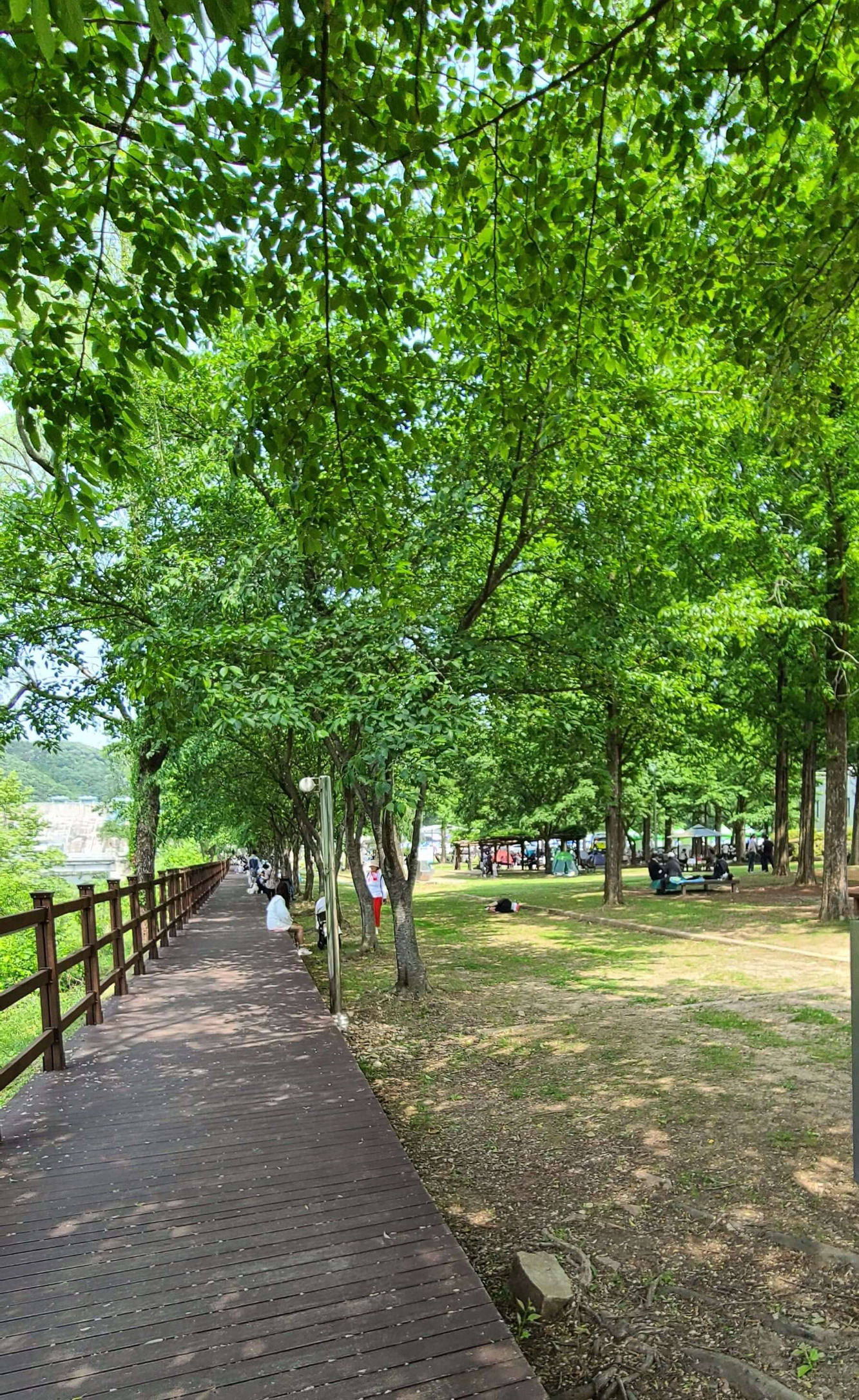 로하스 공원 산책로