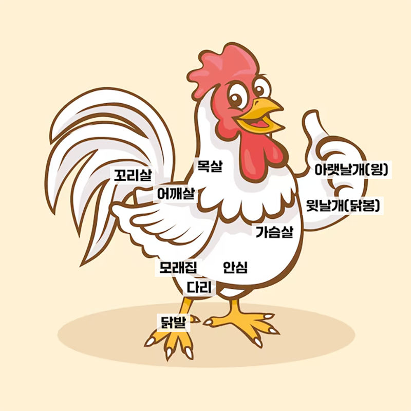 닭고기 부위