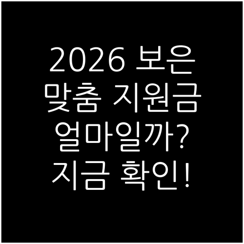 2026 보은군 맞춤형 민생 안정 대..