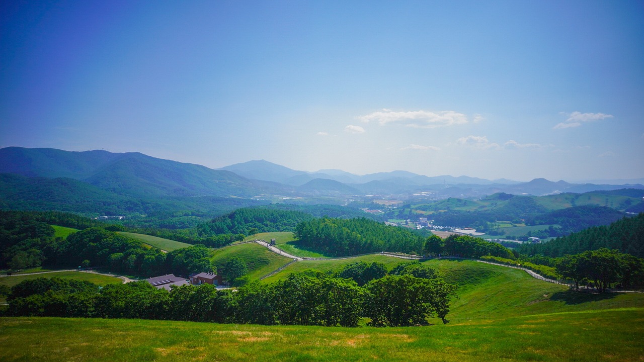 강원도 대관령의 전경