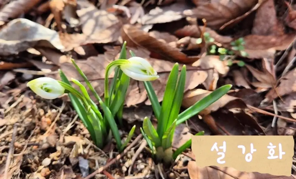 물향기-수목원-입장료-주차-요금-관람시간