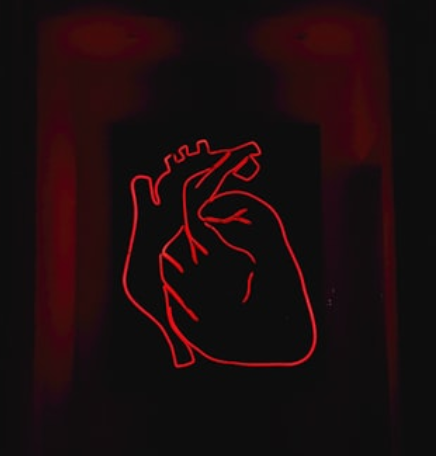 심장 건강을 위해 꼭 챙겨야 할 영양소