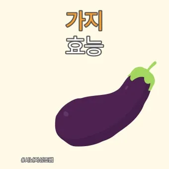 가지 효능 혈압 당뇨 관리 도움 정보_11