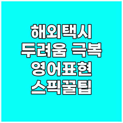 두려움 없이 해외 택시 타기: 필수 ..