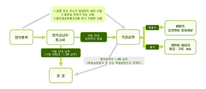 자동차-범칙금이란