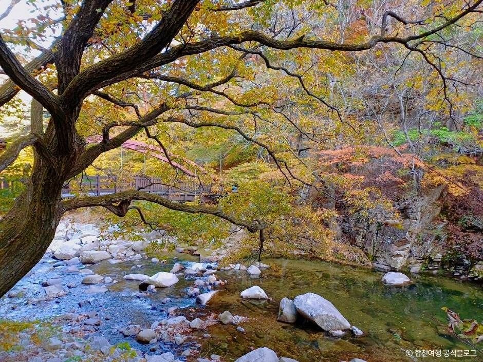 합천 해인사 홍류동 계곡 단풍
