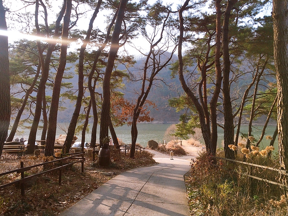 안성-노주현카페