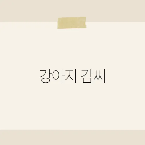 강아지 감씨, 씨앗 한알 위험한가?