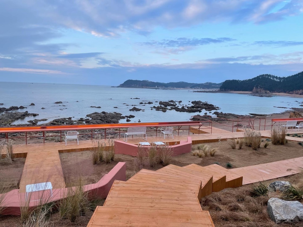 커피인터뷰 파도리