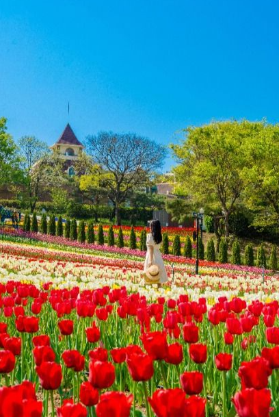  이월드 튤립 트래블 