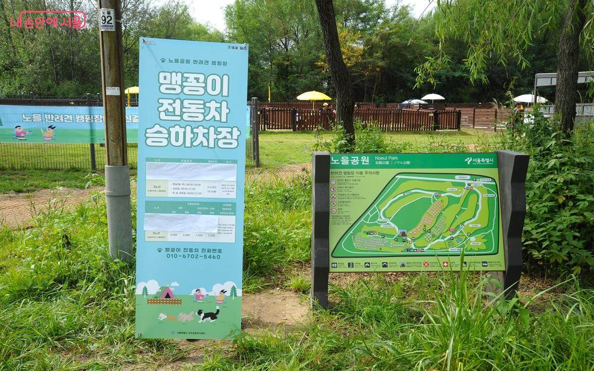 서울시 최초! 반려견 동반 노을 캠핑장 정보 및 예약 방법 알아보기