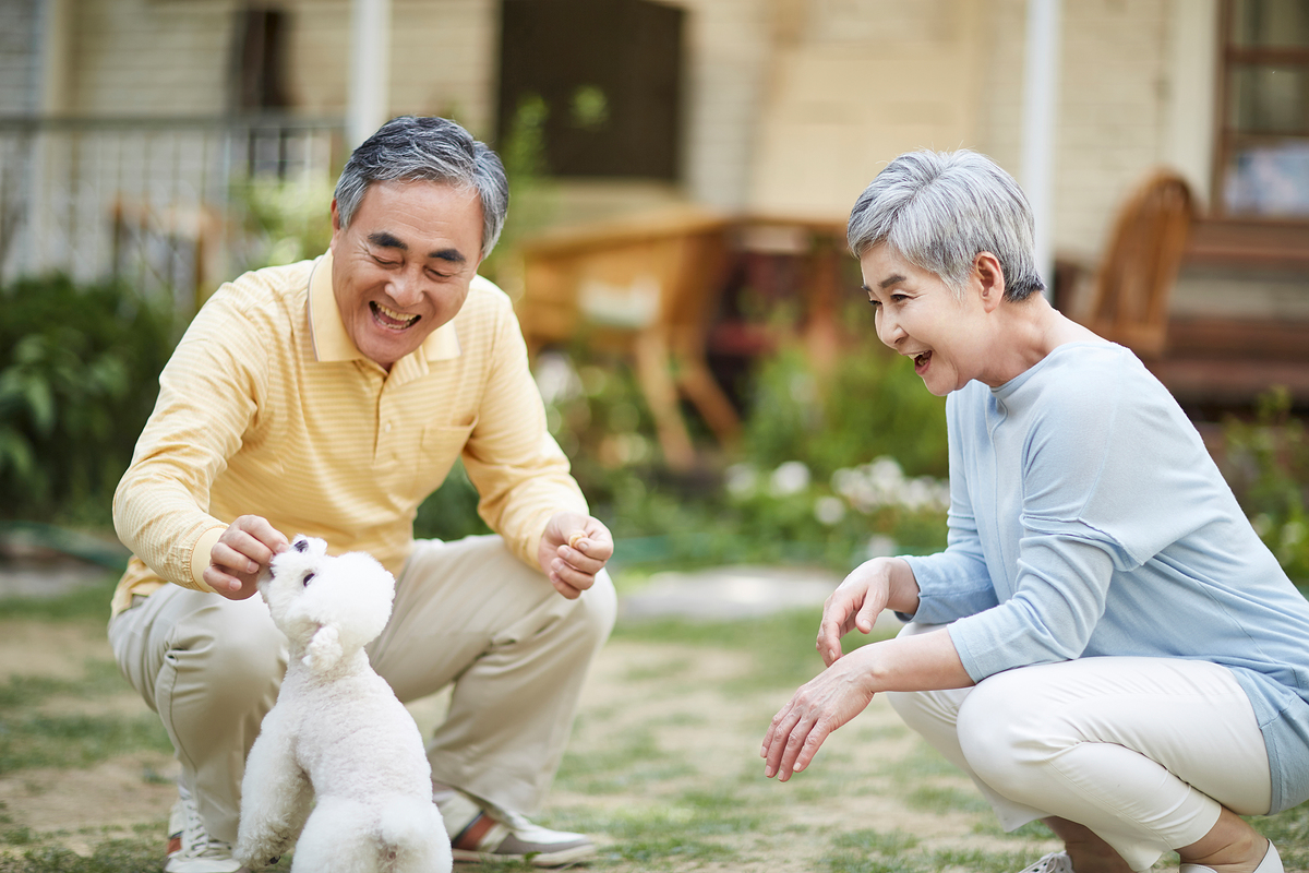 노령연금 수급자격