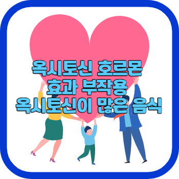 옥시토신 호르몬 효과 부작용 옥시토신이 많은 음식