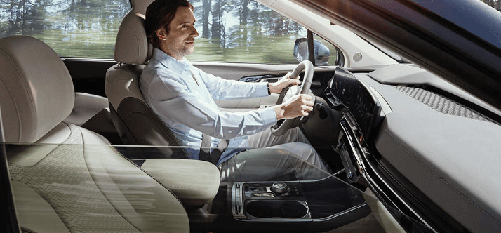 카니발 하이브리드