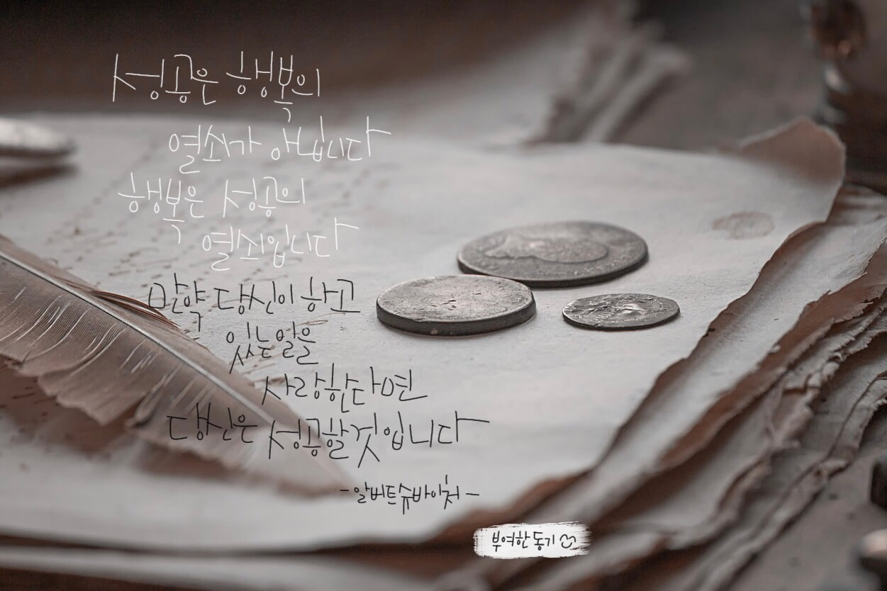 알버트_슈바이처_썸네일