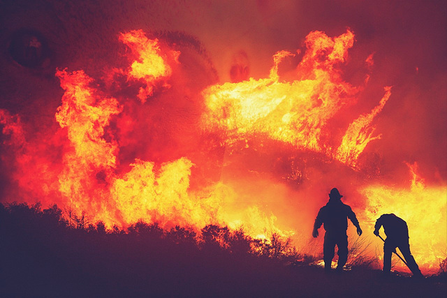 산불 피해 보상금 신청 방법 서류